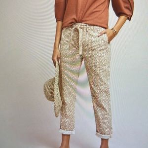 Anthropologie Wanderer Utility Pants Worn once! Size 27